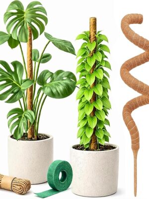 Craft911 Moss Pole Monstera Plant Support – 2 Pack 28” Bendable Moss Pole Monstera Plant Support, Plant Stakes for Indoor Plants, Tall Plant Sticks Support for Climbing Plants