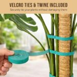 Craft911 Moss Pole Monstera Plant Support – 2 Pack 28” Bendable Moss Pole Monstera Plant Support, Plant Stakes for Indoor Plants, Tall Plant Sticks Support for Climbing Plants