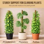 Craft911 Moss Pole Monstera Plant Support – 2 Pack 28” Bendable Moss Pole Monstera Plant Support, Plant Stakes for Indoor Plants, Tall Plant Sticks Support for Climbing Plants